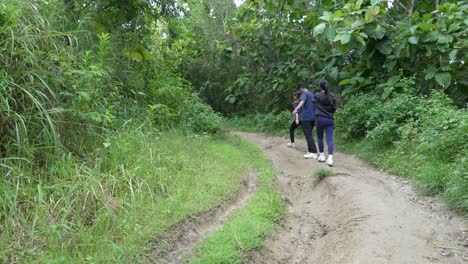 people hiking in a forest trail