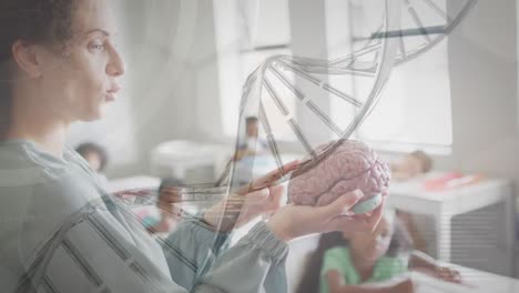 Animation-of-dna-strand-over-happy-diverse-female-teacher-showing-pupils-brain-model-in-class