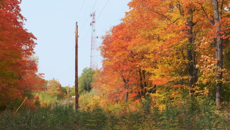 vibrant autumn colors around radio tower and utility lines