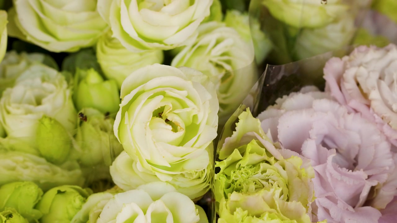 Static close up shot of fresh white and pink lisianthus flowers at a market.