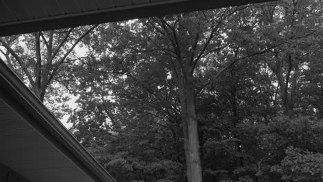 high angle of a roof and forest, showing off the a light summer rain