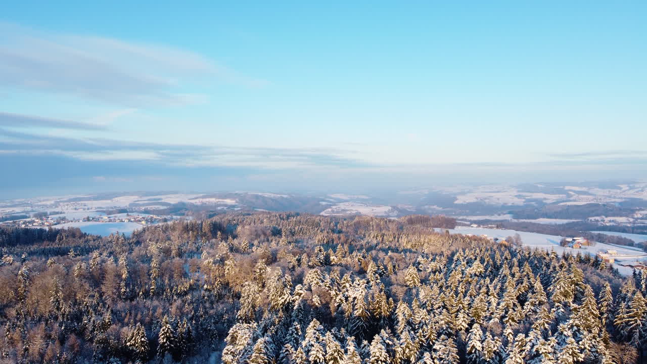스위스, 보 주, 조라트 숲 위로 해가 질 때 설경에 있는 얽히고 설킨 숲의 고요한 자연