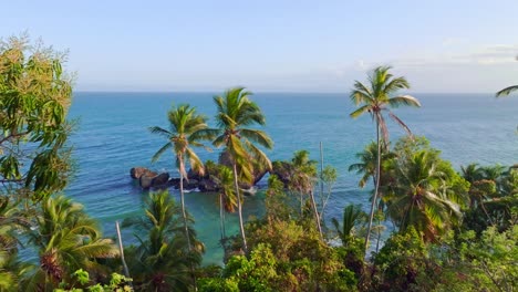 aerial view over jungle and palm trees, towards the tranquil sea