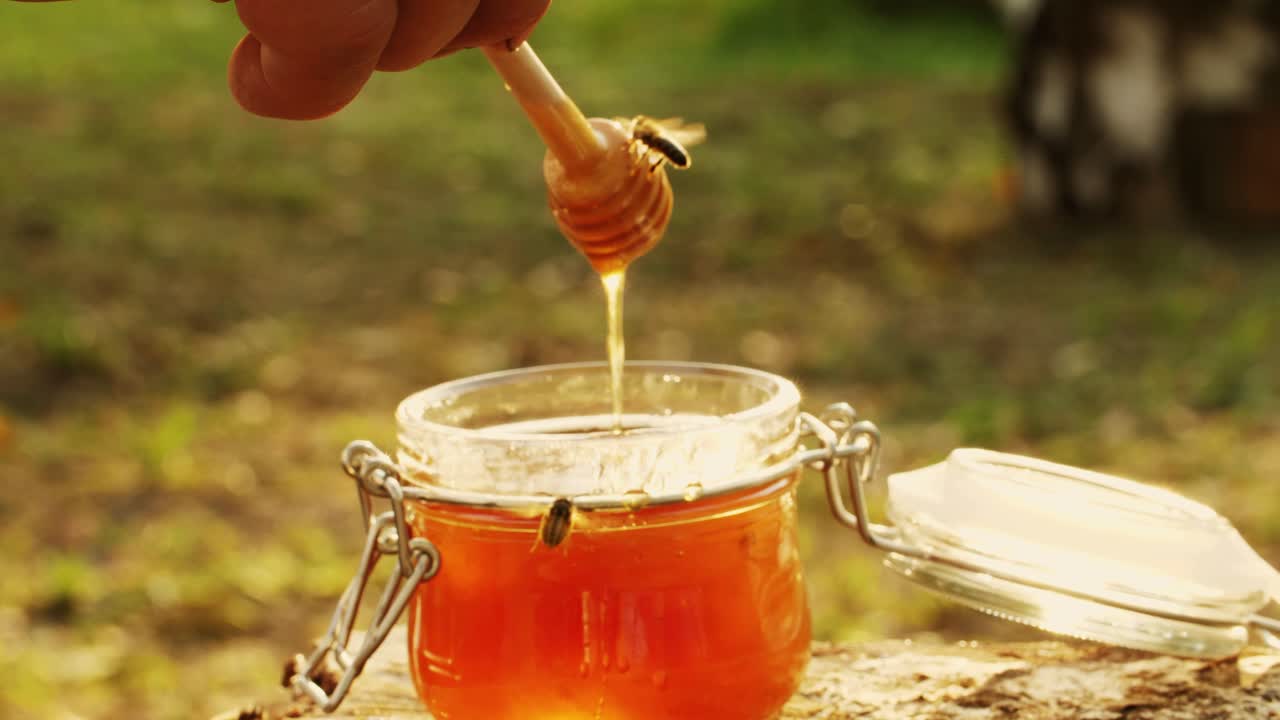 Honey Harvesting