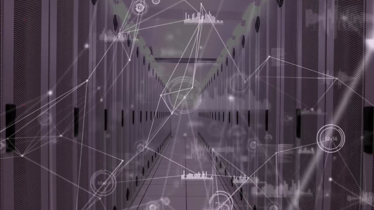 Animation of network of connections and diverse data over computer servers