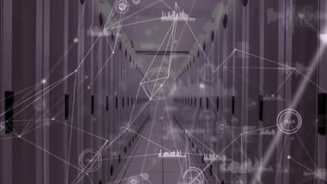 animazione di reti di connessioni e dati diversi su server informatici