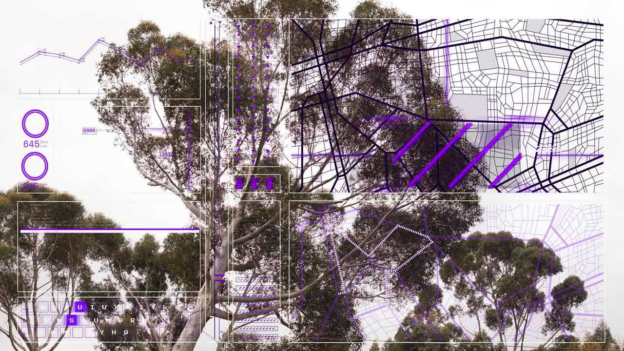 animación de la interfaz con el procesamiento de datos sobre vista de ángulo bajo de árboles contra un cielo despejado