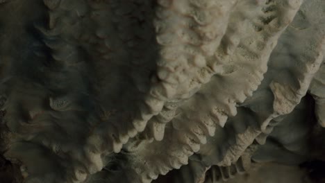 close up shot of a stalactite cave wall