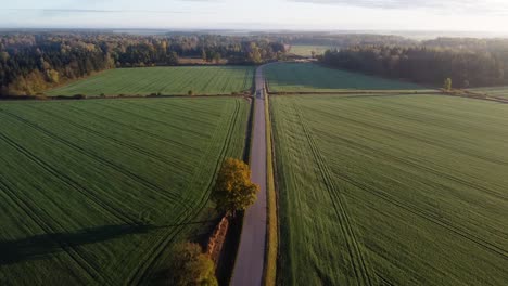 Drone-Volando-Sobre-Una-Pequeña-Carretera-Rural-Con-Campos-De-Cultivo-Verdes-A-Los-Lados