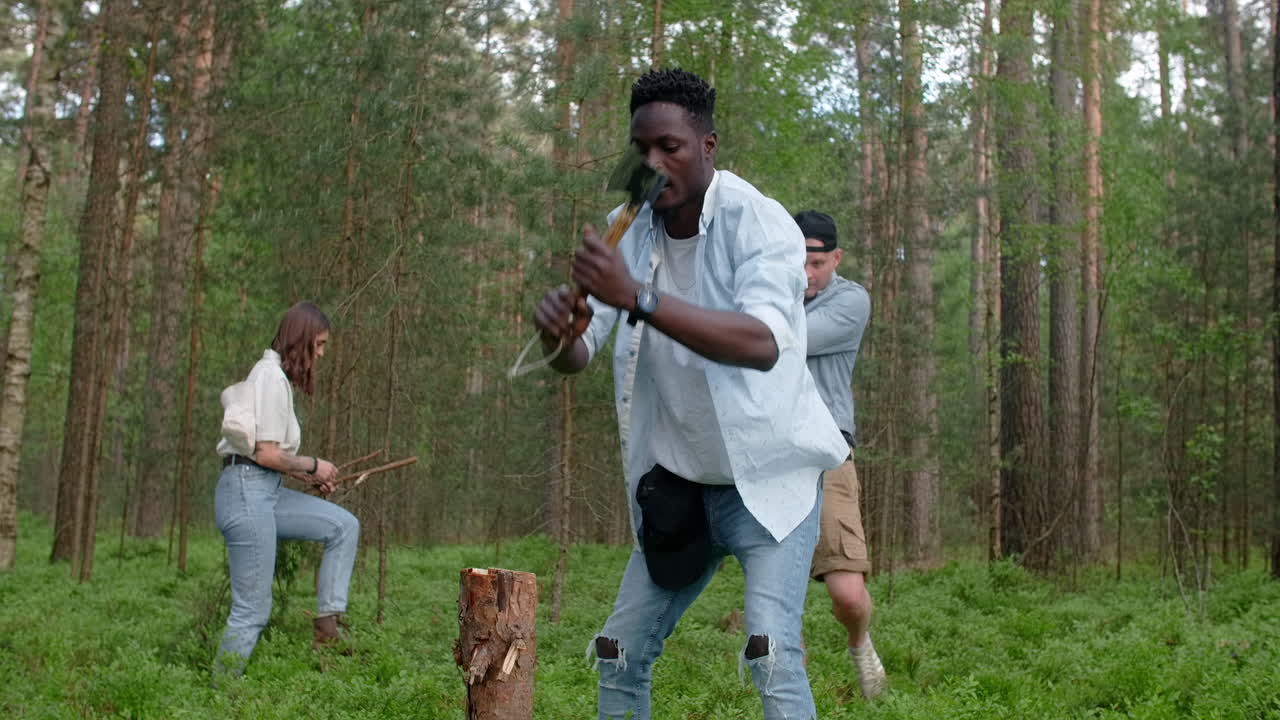 Venner hogger ved i skogen