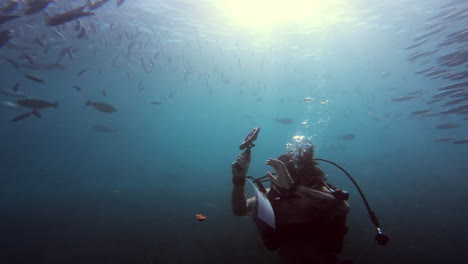 sintiéndose libre entre los peces