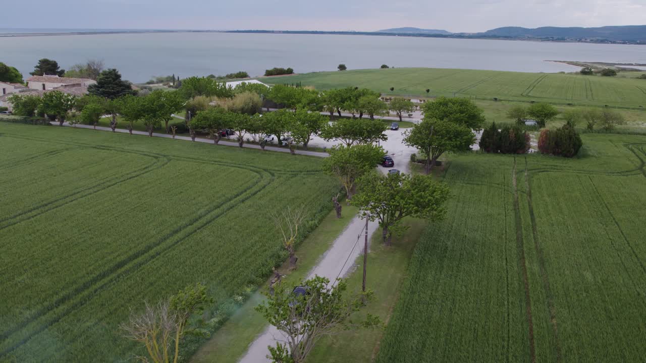 연기 녹색으로 웅장한 부동산에 도착하는 들판을 통해 운전하는 검은 차