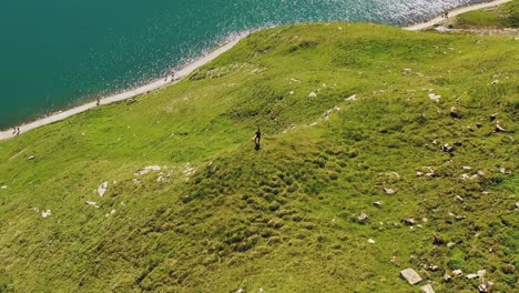 Aerial-rise-up-tilt-down-reveal-:-Hiker-standing-on-a-green-meadows-covered-edge-of-a-high-hill-overlooking-people-hiking-bachalpsee-alpine-turquoise-lake-Trail-in-swiss-alp-mountains-of-Grindelwald