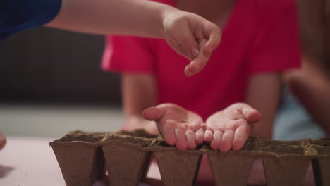 little children plant houseplants in peat pots