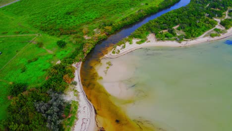 toma de drones de un delta de río en un área tropical durante el día