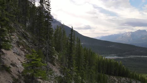 Fast-sideways-flight-over-larch-forests-of-Kananaskis-Country-revealing-beautiful-rocky-mountains-and-cloudy-skies