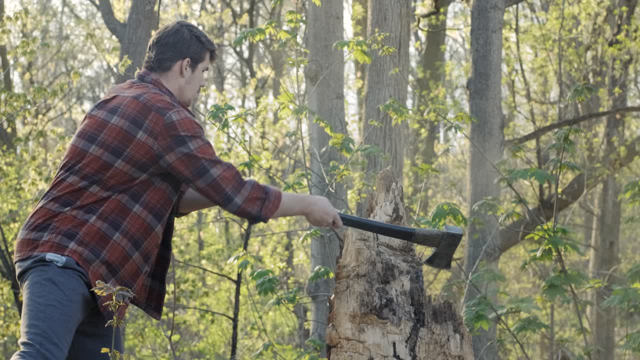 나무 그루터기에 옆으로 도끼를 휘두르다