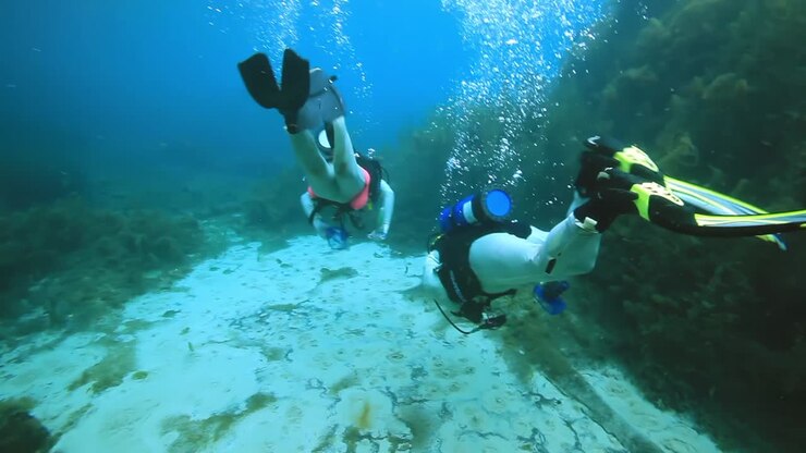USFWS Divers