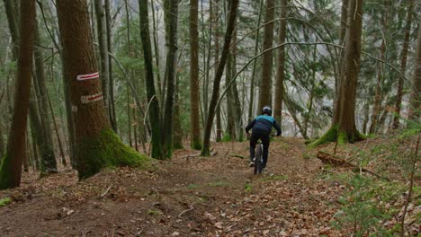 a mountain biker jumps down a trail covered in leaves in slow motion