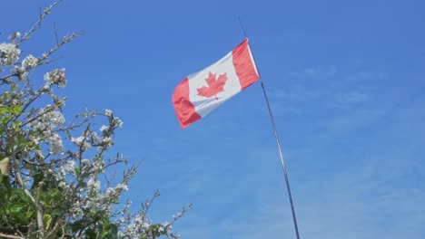 Canadian-flag-blowing-in-wind-against-blue-sky-close-up