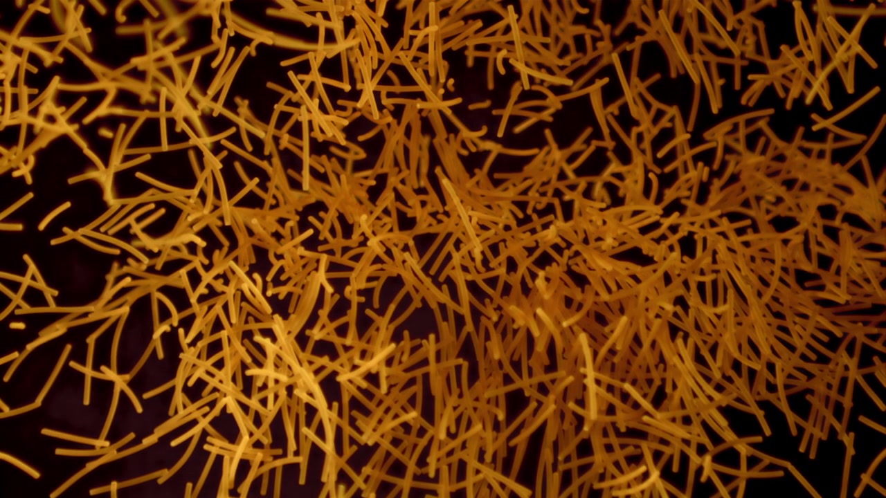 Fili gialli simili a noodles che entrano a fuoco su sfondo scuro