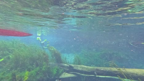 underwater kayak adventure in a crystal clear spring