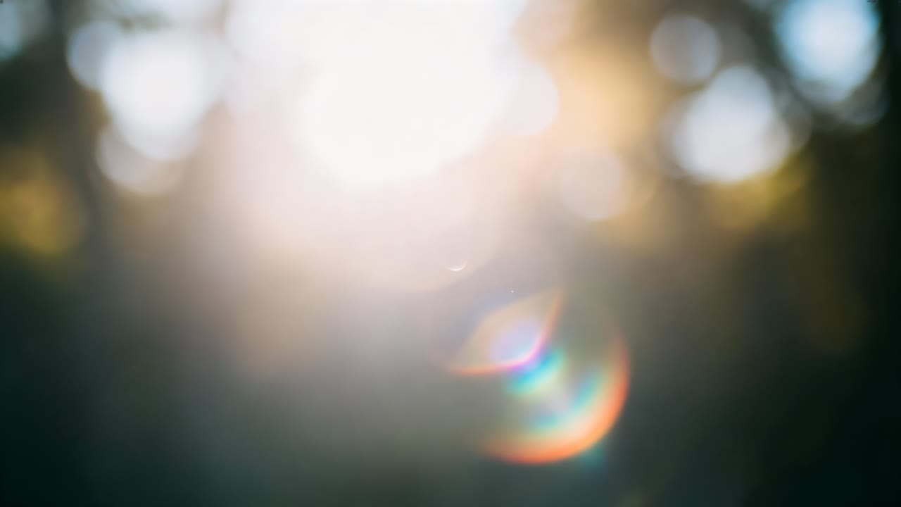 Casting sun flare and rainbow lens flares from direct sunlight in tree canopy, showing bokeh spots