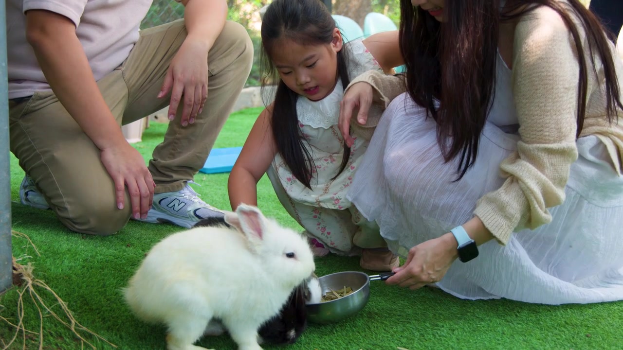 แม่และลูกสาวกำลังให้อาหารกระต่ายสีขาวจากชามบนสนามหญ้าสีเขียวกลางแจ้ง