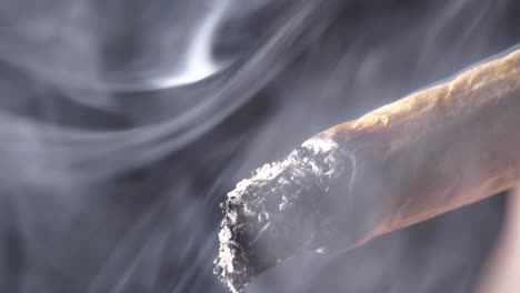 quemar y fumar malezas de tabaco -un primerísimo plano