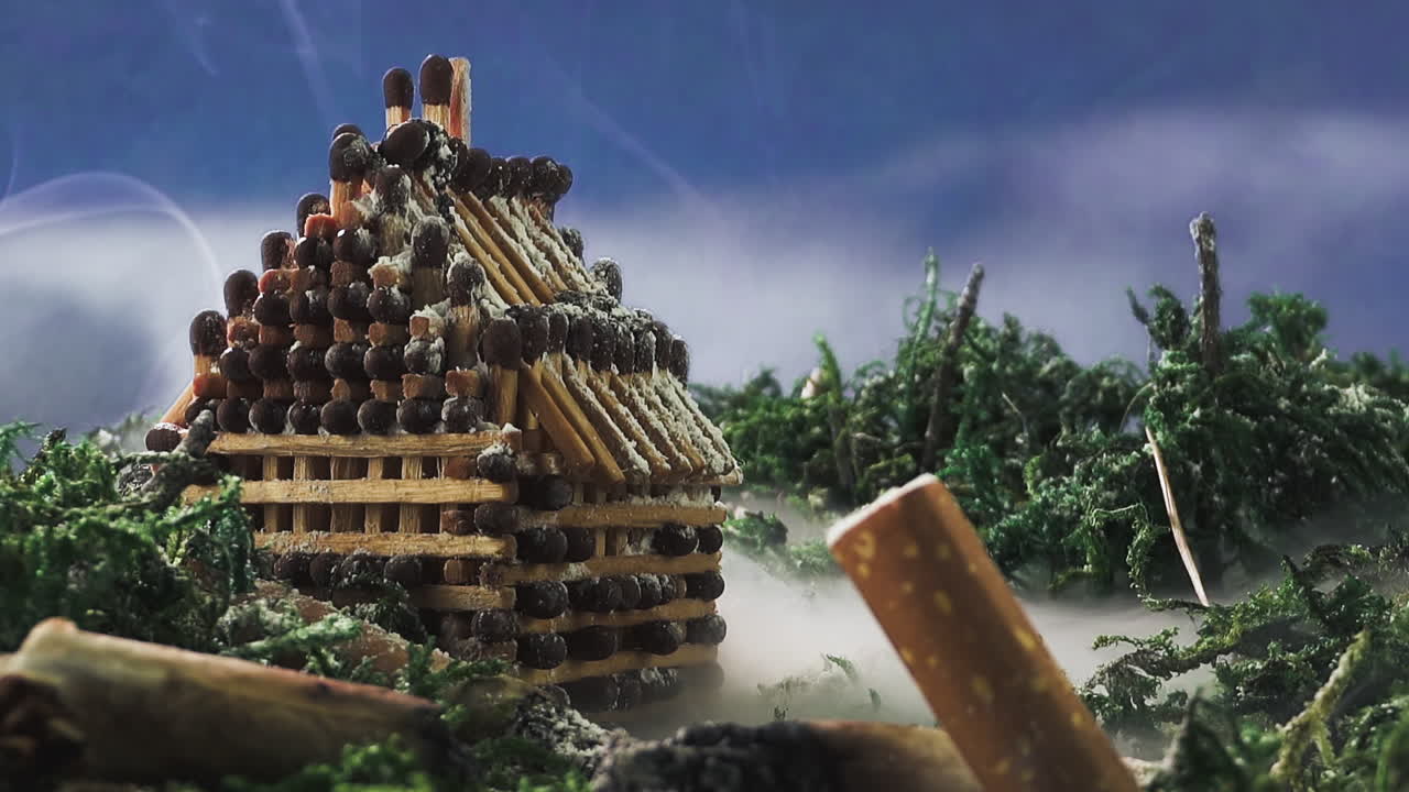 눈 덮인 집과 숲 속의 연기 사이에 그루터기가 있는 장면