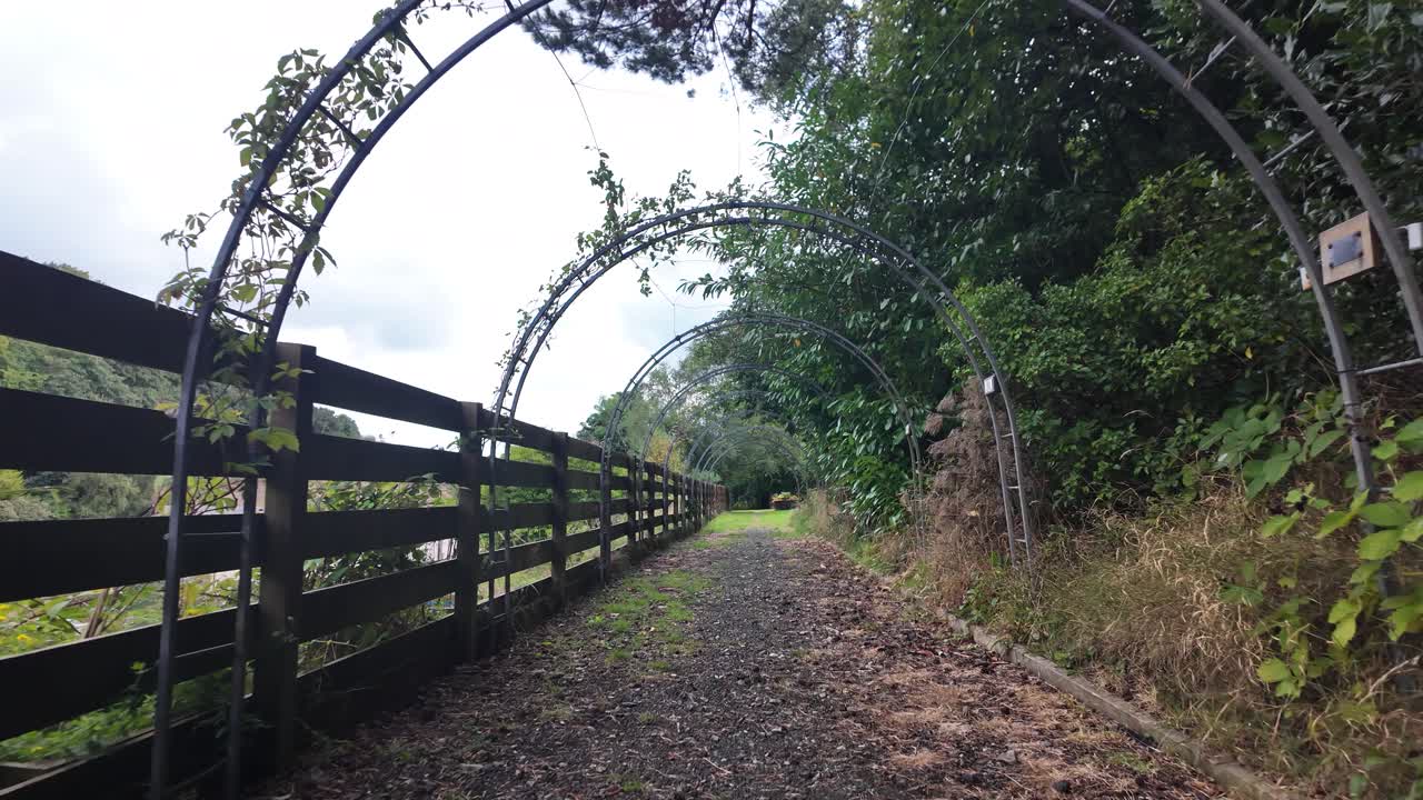 A tranquil gravel path winds under metal arches beside a wooden fence and lush greenery