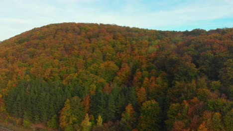 Volando-Sobre-Un-Bosque-En-Un-Día-Dorado-En-Octubre-Con-Colores-Otoñales