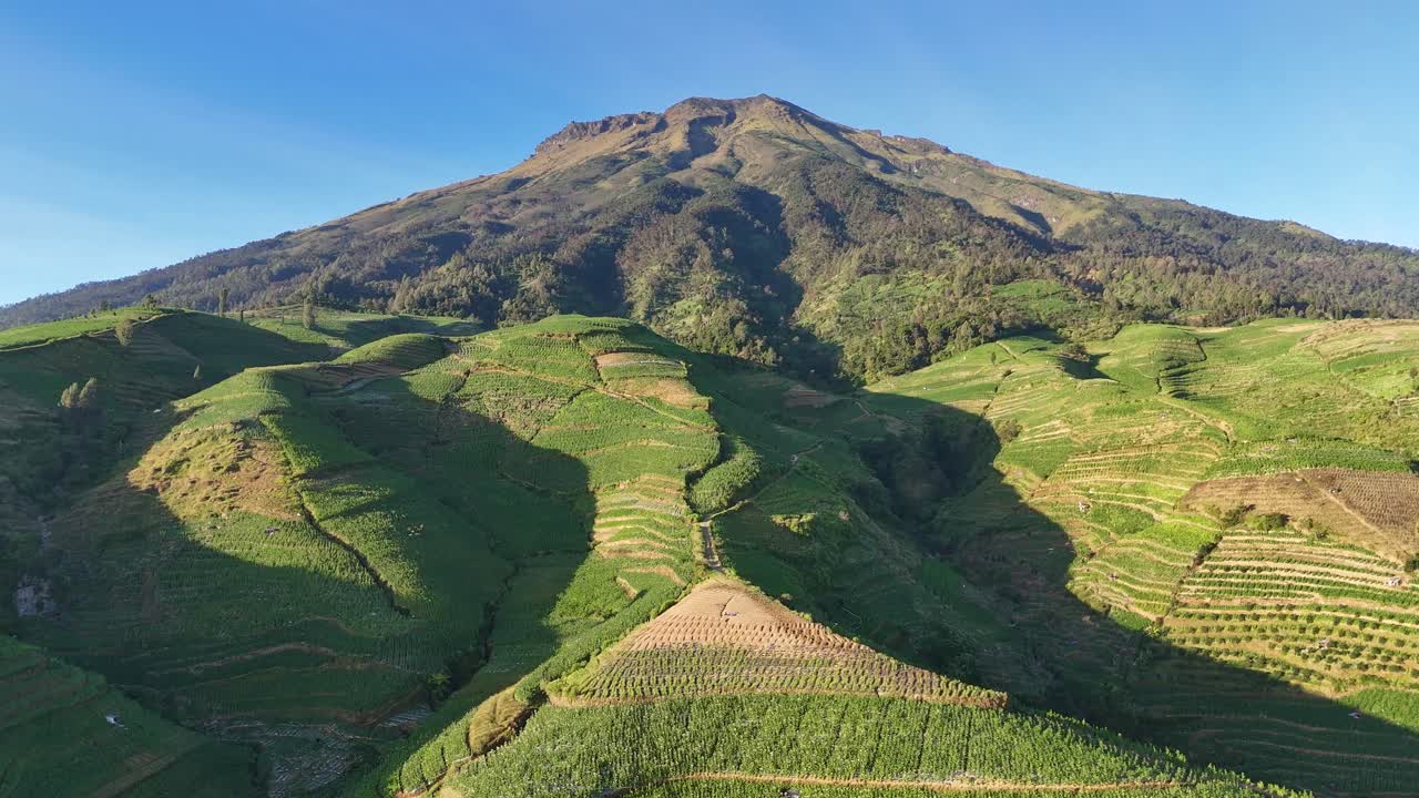 Le pendici del famoso vulcano monte Sumbing sono ricoperte di piantagioni di tabacco.