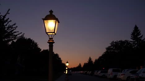 illuminated street lamp at dusk