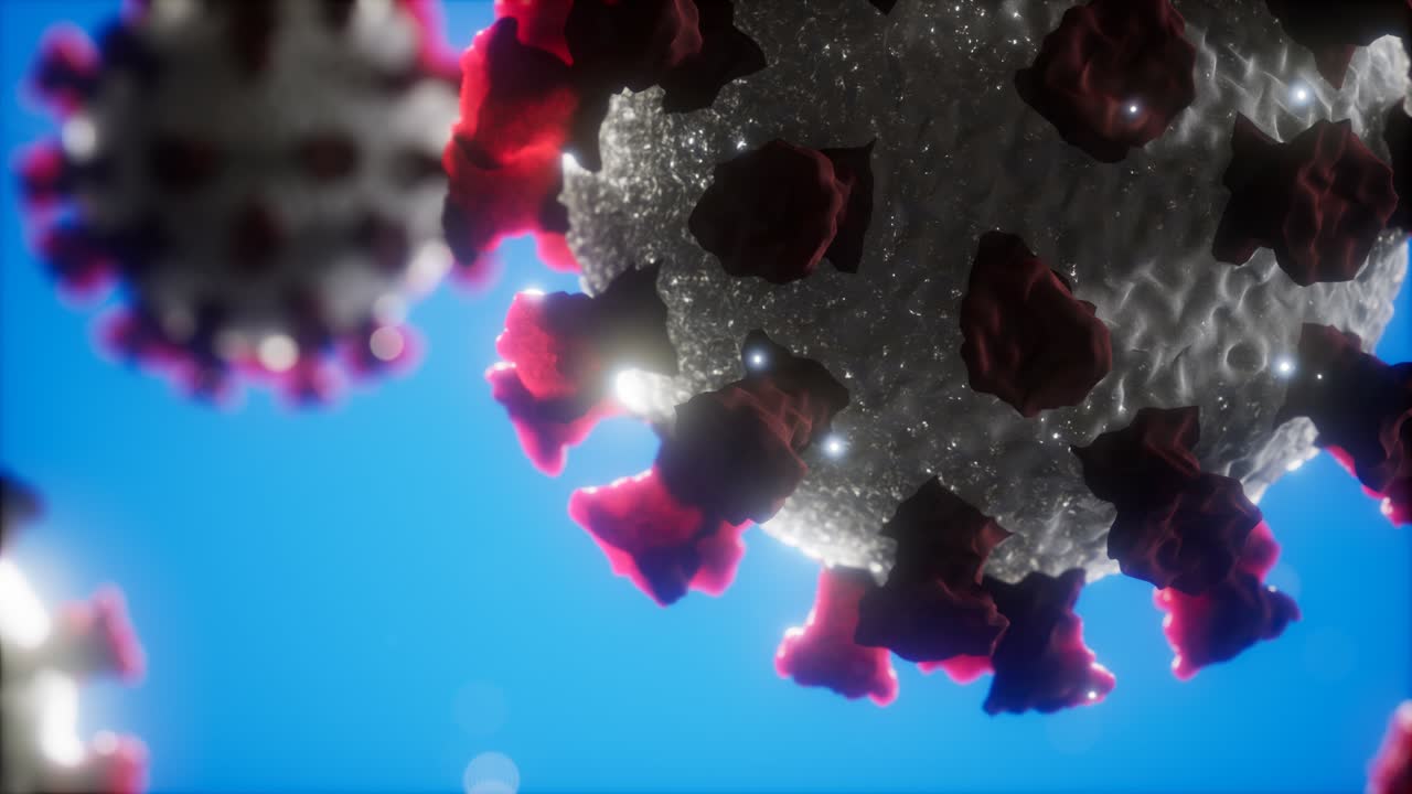 modelo médico del coronavirus covid-19