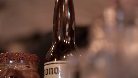 person drinks a beer at the bar