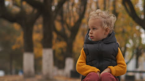 cute-little-boy-in-autumn-park-portrait-of-funny-sitting-child-at-picturesque-landscape-background-walk-in-city-park-at-fall-day