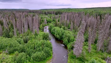 slow aerial push in funny river near soldotna alaska