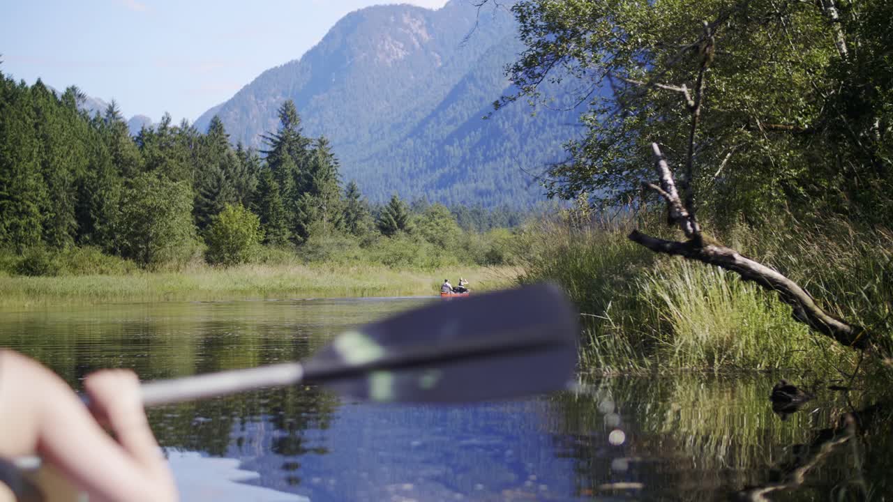 Over the Shoulder Shot of Tourists Canoeing on Calm River in the Middle of the Forest