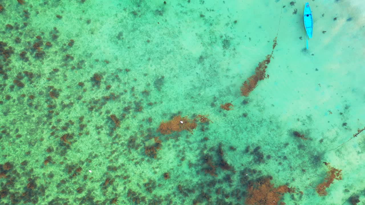 산호초가 있는 청록색 석호의 잔잔한 물에 의해 씻겨진 열대 섬 해안에 정박된 푸른 어선