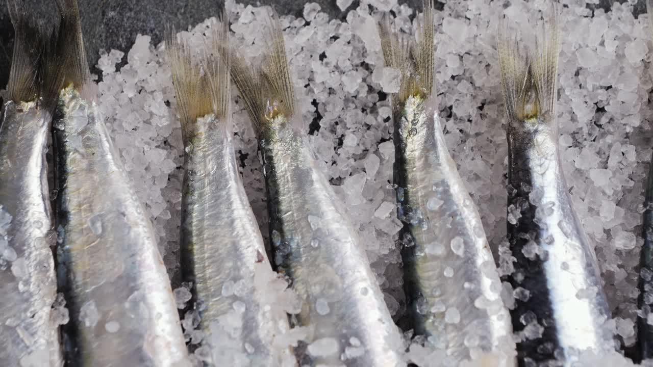 Fresh Anchovies on Ice with Salt