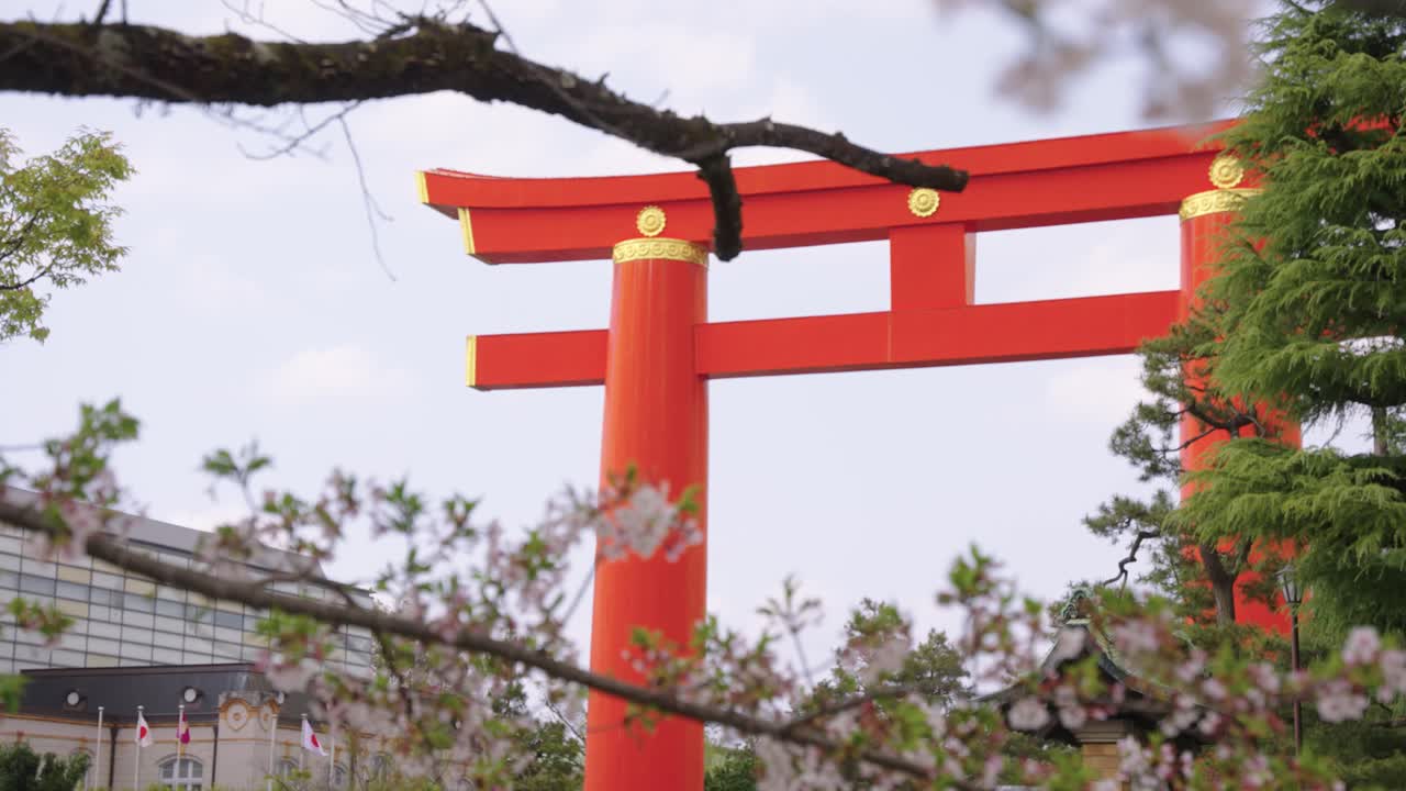 Spring in Kyoto Japan, Sakura in Bloom Focus Reveal of Heian Jingu Shrine