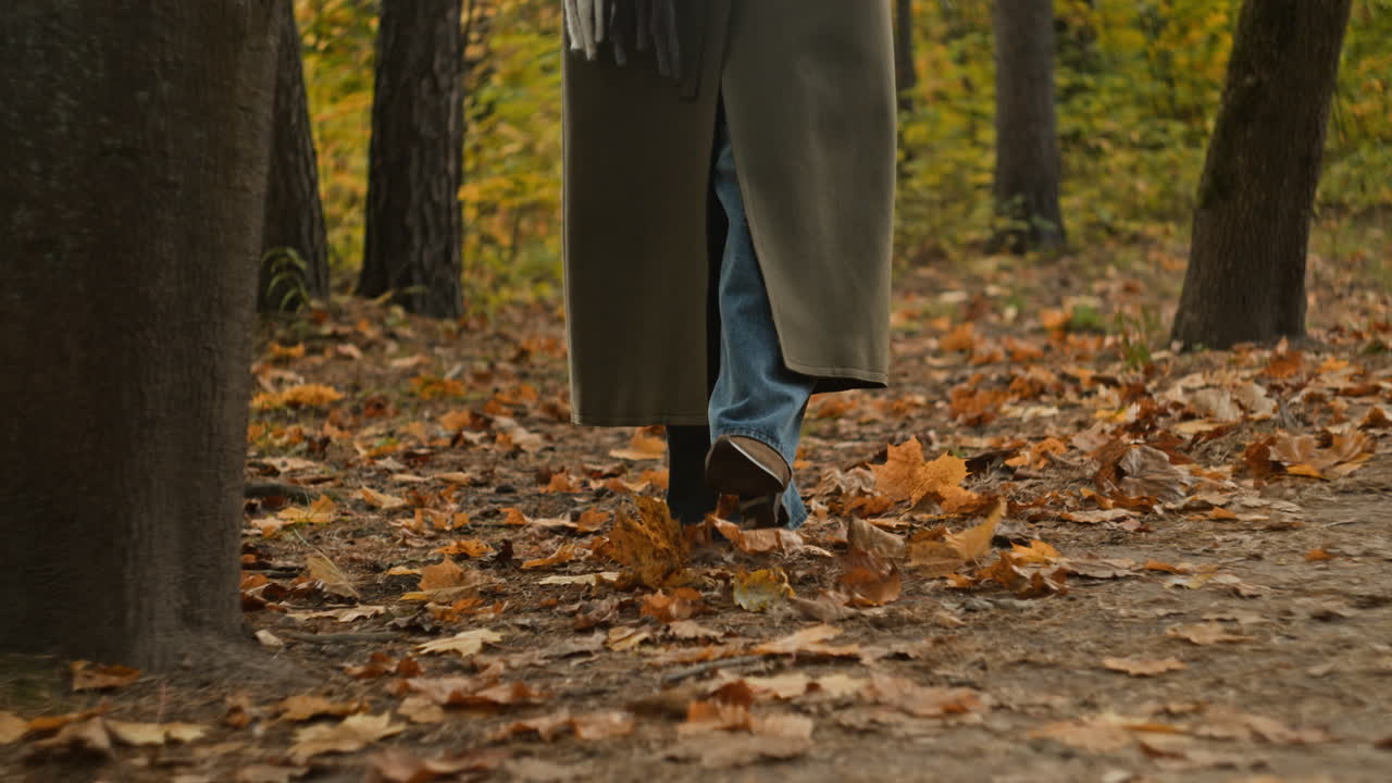Person Walking Through Autumn Forest