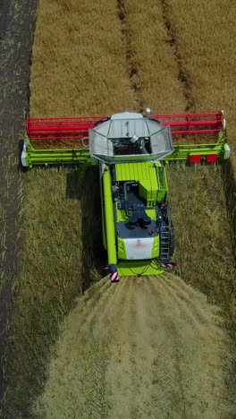 combine harvesting the field. combine machine is harvesting on farm field vertical video