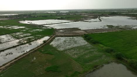 flooded agricultural fields in a village near mirpur khas, sindh, from above