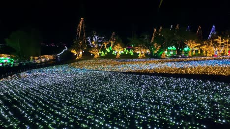 2020 年 4 月 4 日 植物園沖