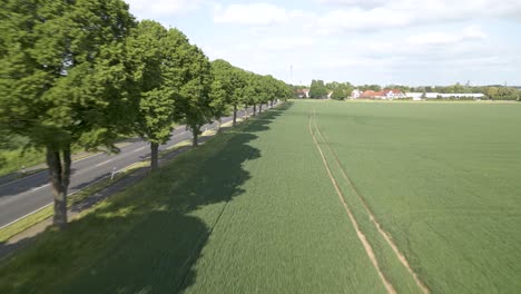 Toma-Aérea-Junto-A-Un-Camino-Rural-Con-Líneas-De-Tractores-En-Un-Prado-Listo-Para-La-Cosecha