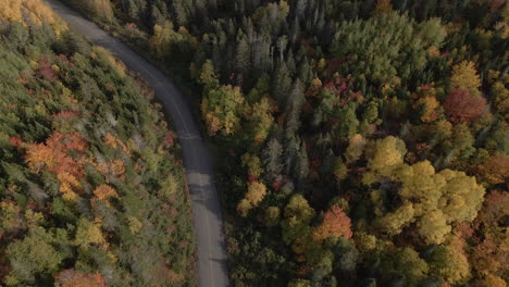 Colores-De-Otoño-Por-Drones-Mirando-Hacia-Abajo