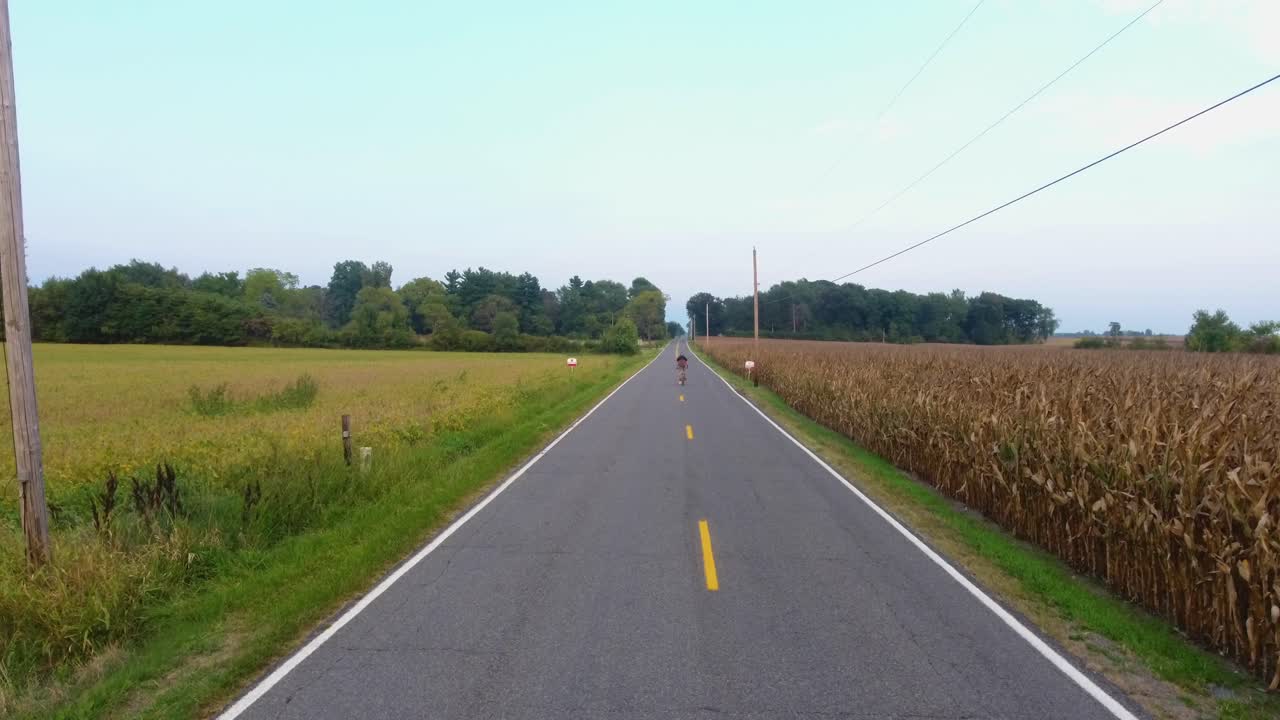 Aerial view of young man on bike ride in country down a road during sunset in 4K