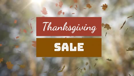 Thanksgiving-Verkauf-Textbanner-über-Mehreren-Herbstahornbäumen,-Fallende-Blätter-Gegen-Hohe-Bäume